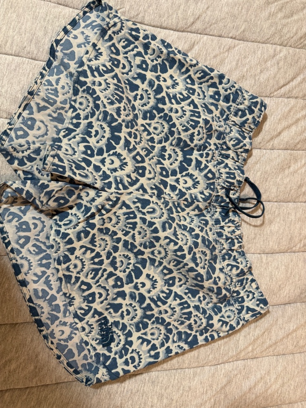The North Face Blue and White Printed Athletic Shorts